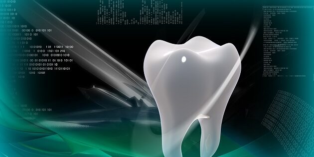Teeth